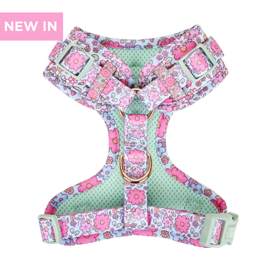 Dog Adjustable Harness | Misty Dream