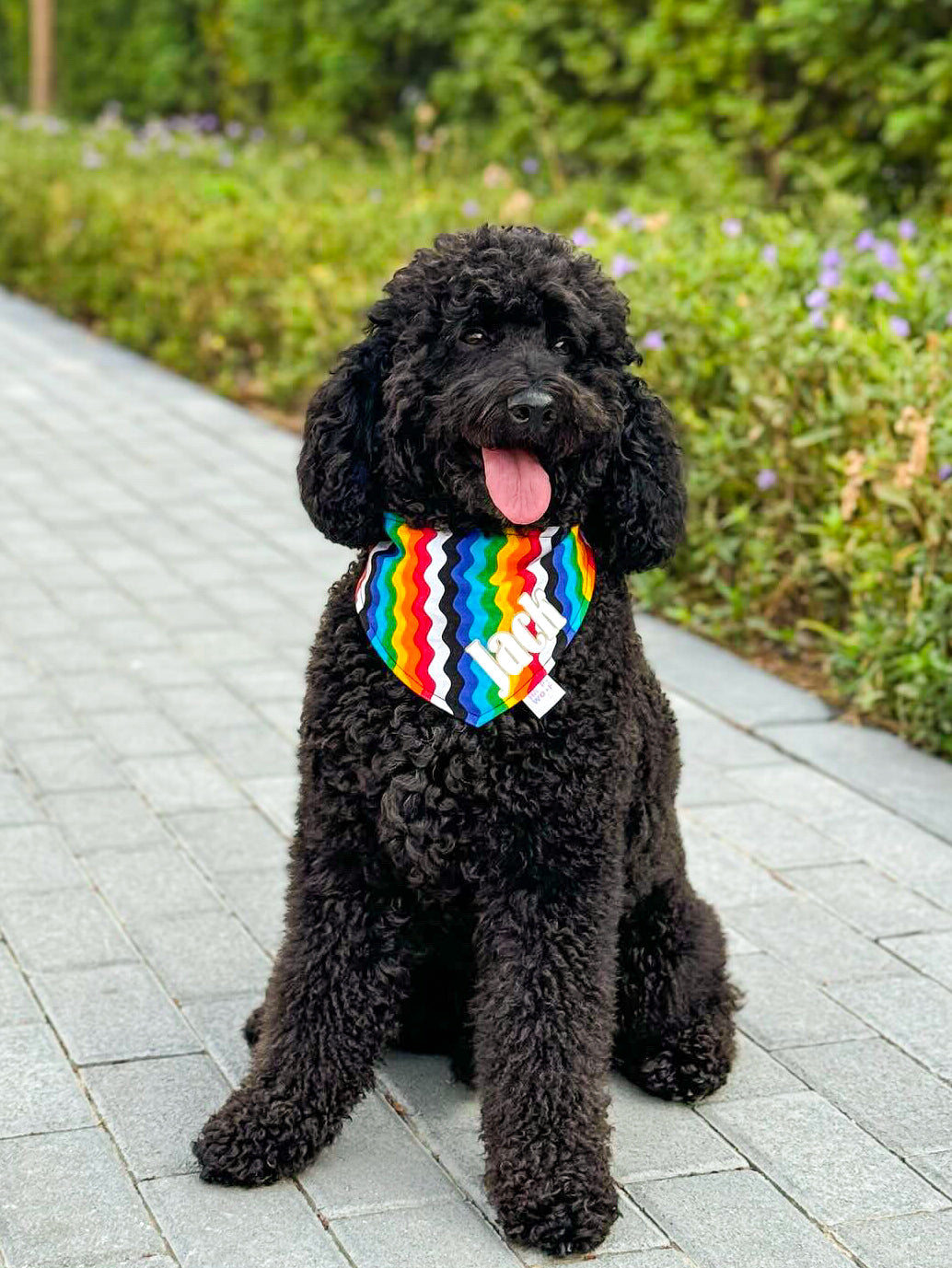 Dog Bandana | Raya