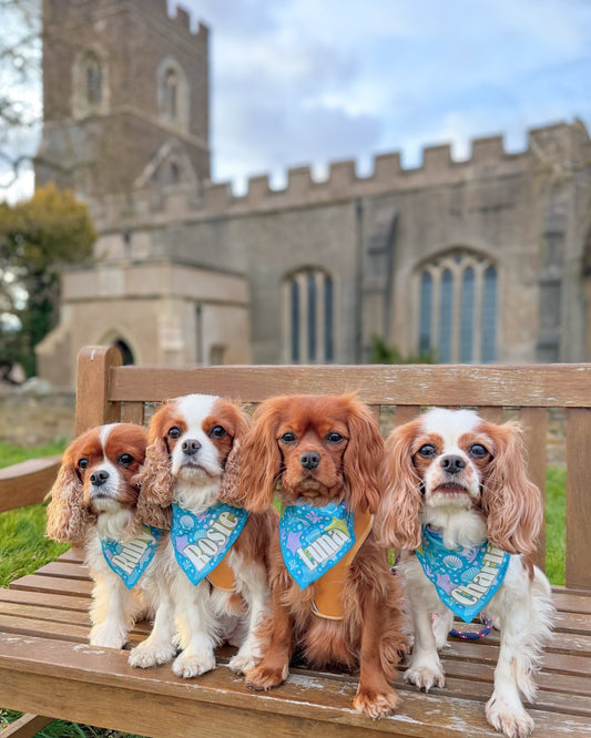 Dog Cooling Bandana | Ocean Delight