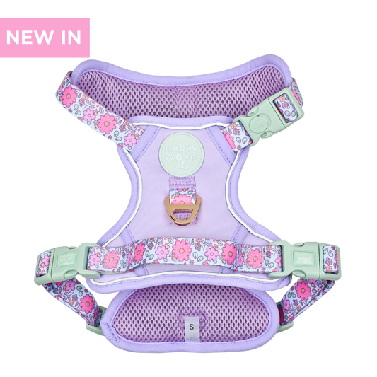Dog Wander Harness | Misty Dream