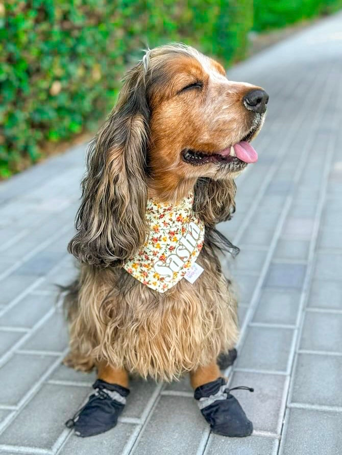 Dog Bandana | Jardin De Flores