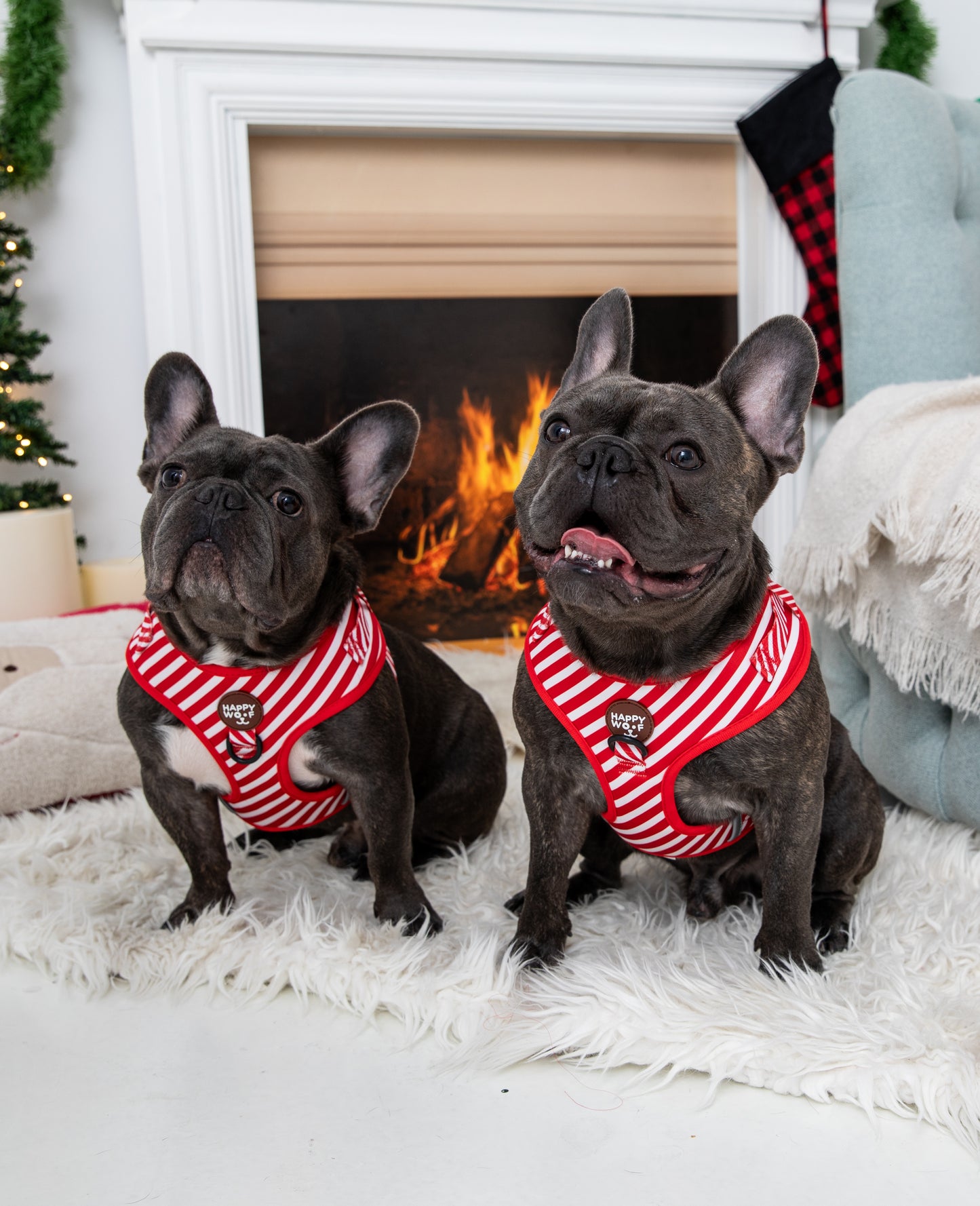 Dog Adjustable Harness | Scarlet Dream