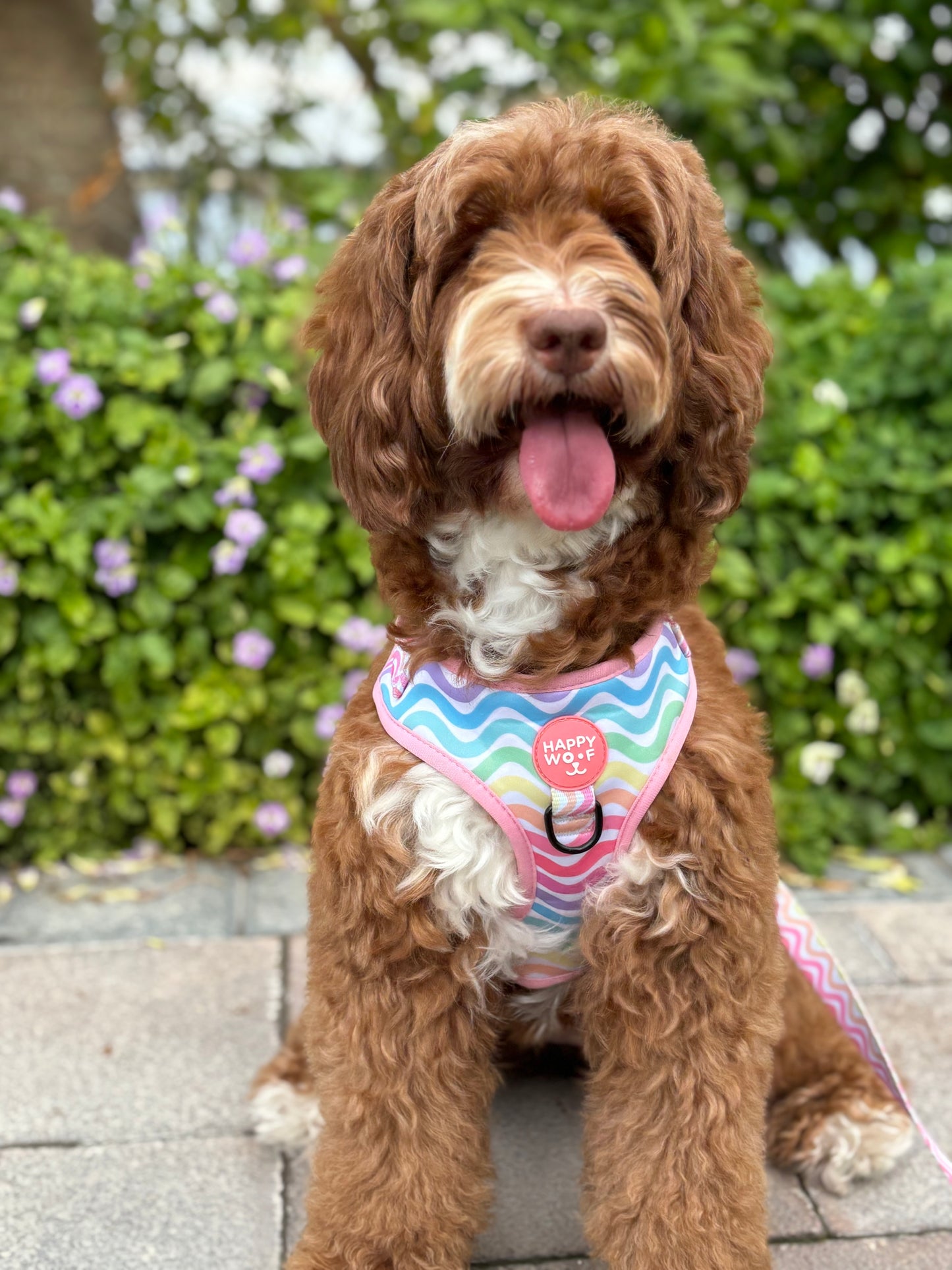 Dog Adjustable Harness | Cheerful Waves