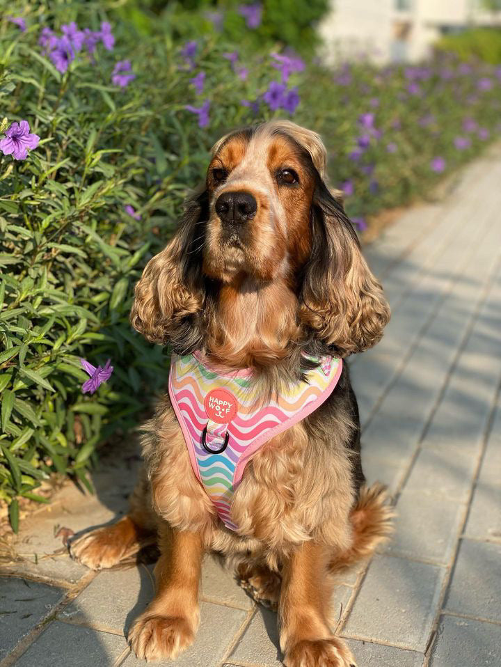 Dog Adjustable Harness | Cheerful Waves