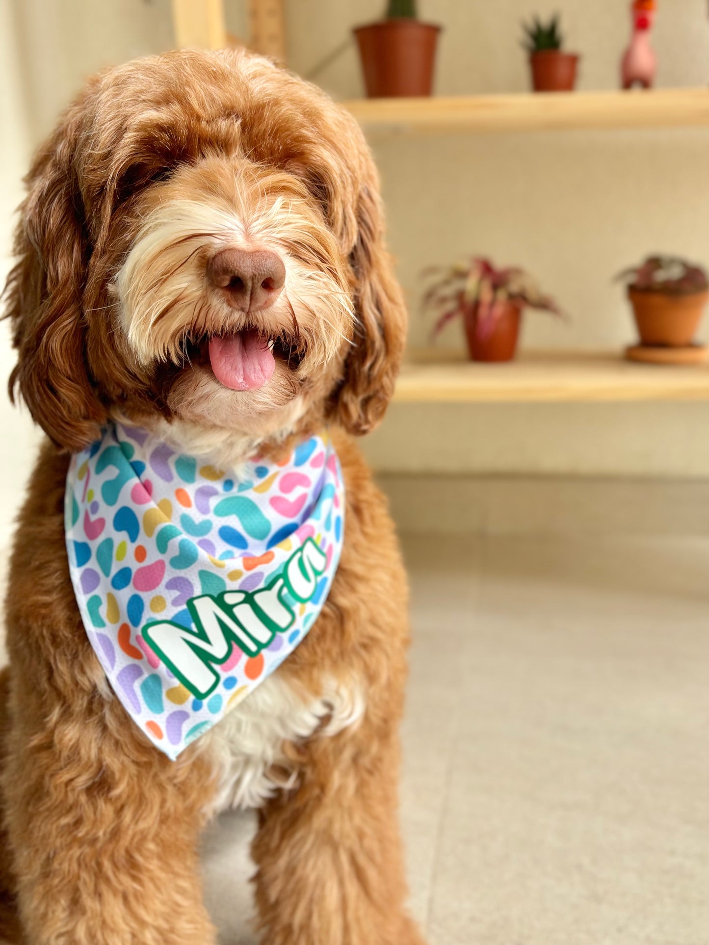 Dog Cooling Bandana | Jelly Bean