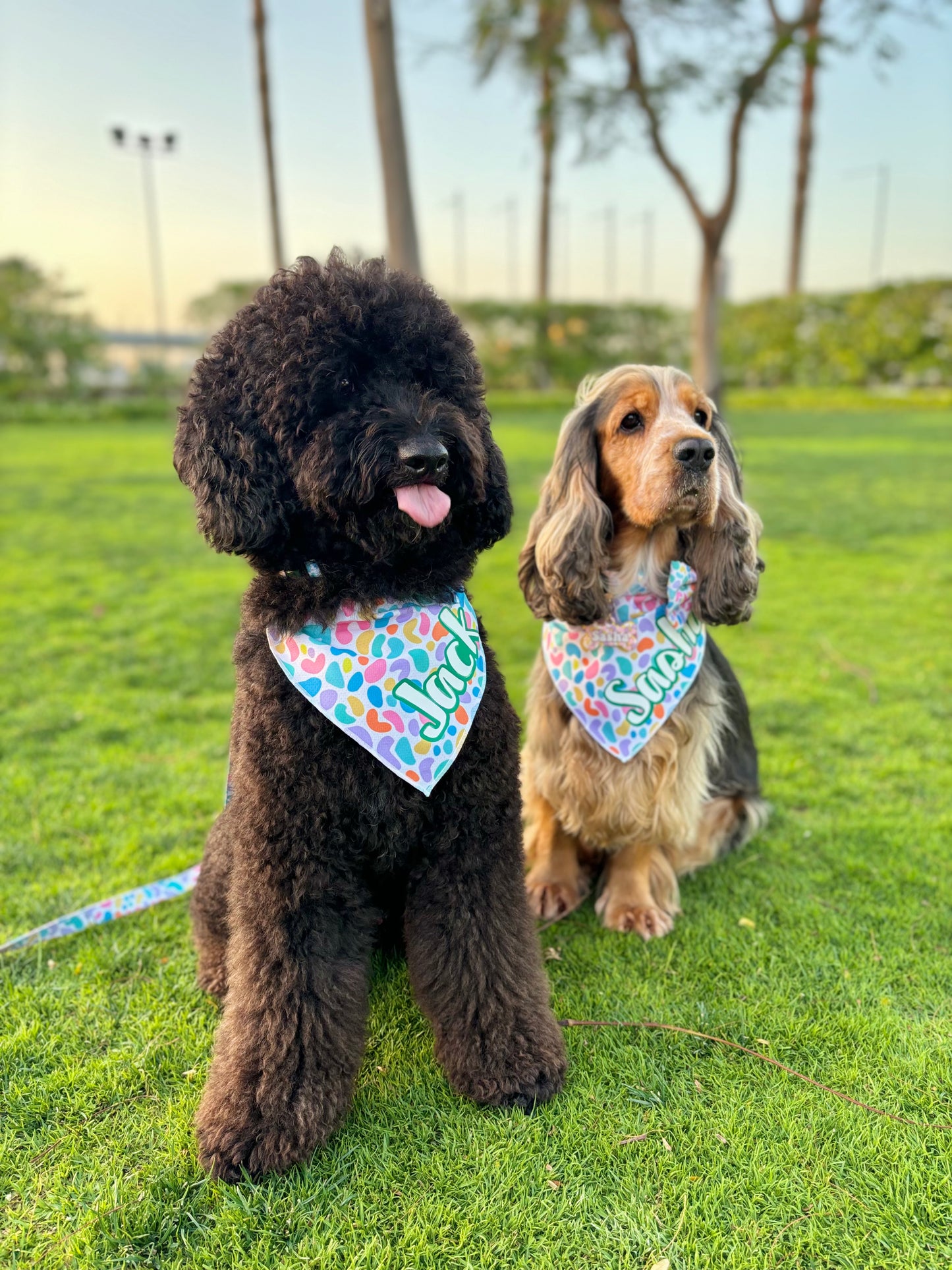 Dog Cooling Bandana | Jelly Bean