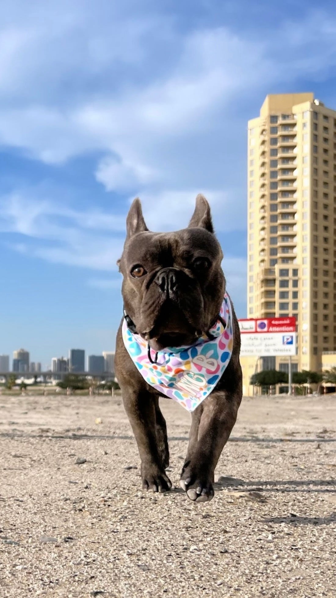 Dog Cooling Bandana | Jelly Bean