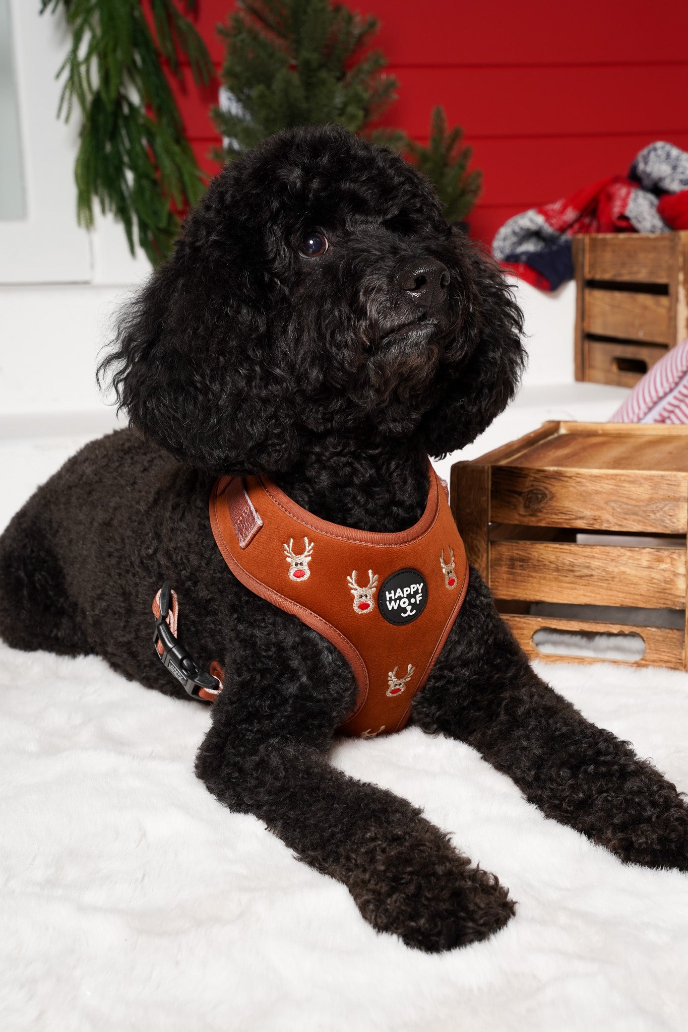 Dog Adjustable Harness | Oh Deer