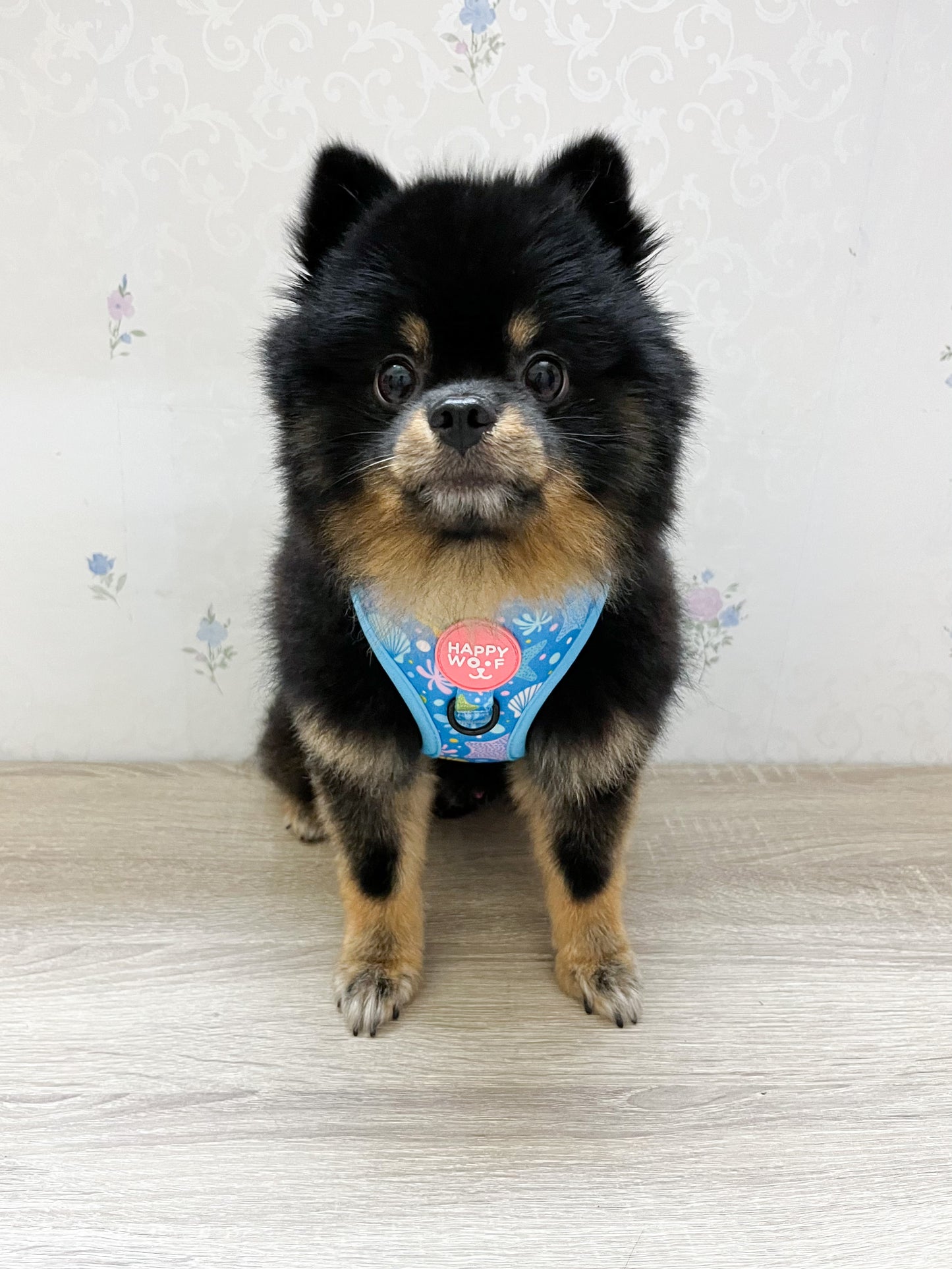 Dog Adjustable Harness | Ocean Delight