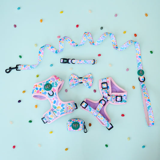 Bundle Set | Jelly Bean