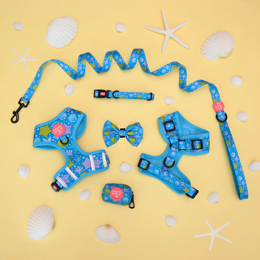 Bundle Set | Ocean Delight