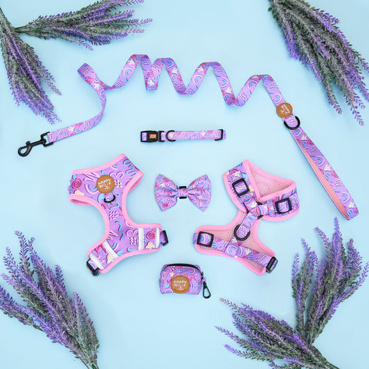 Bundle Set | Candy Swirl