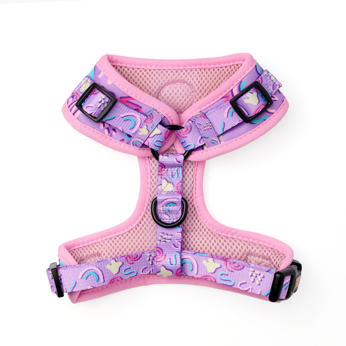 Bundle Set | Candy Swirl