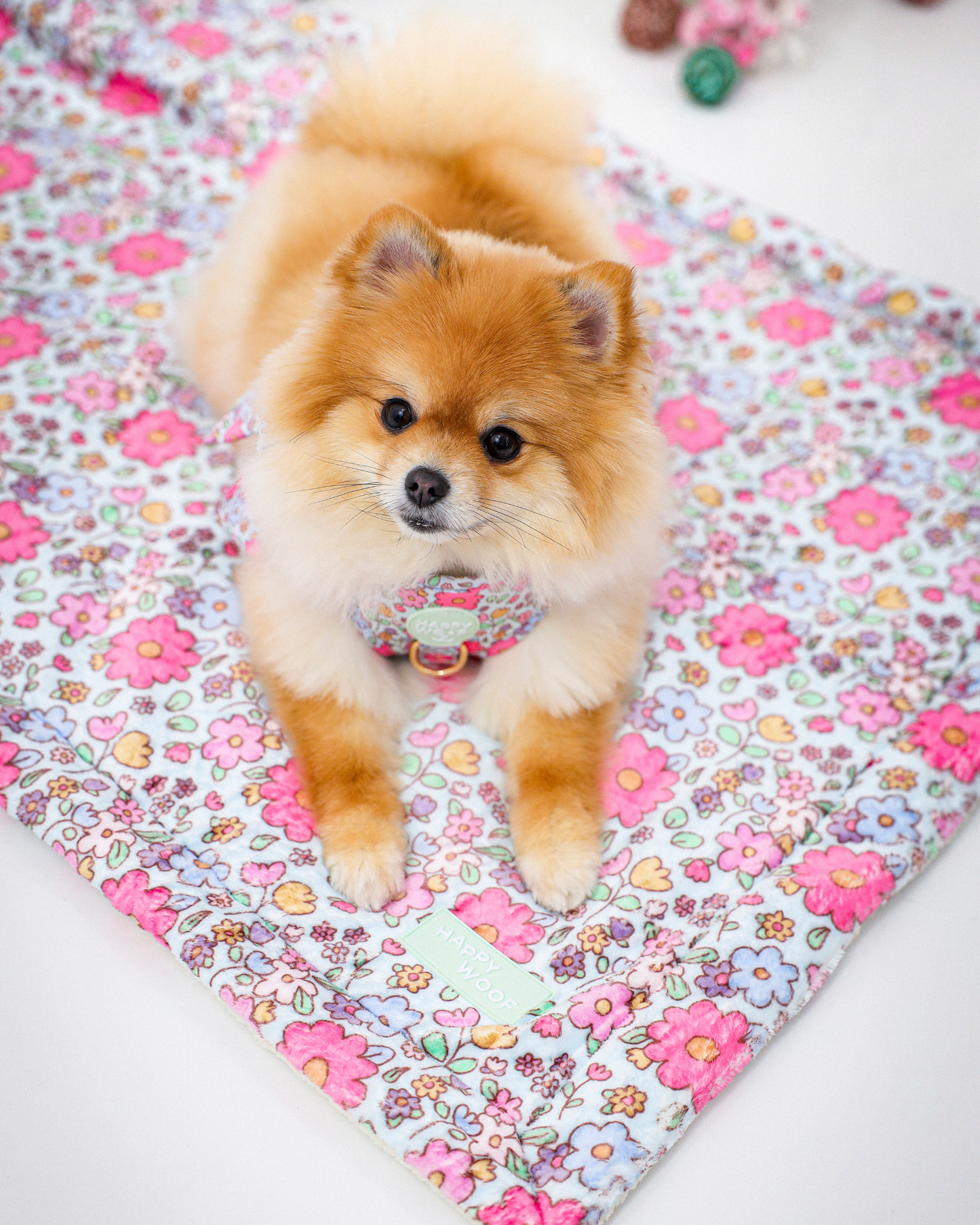 Dog Blanket | Misty Dream