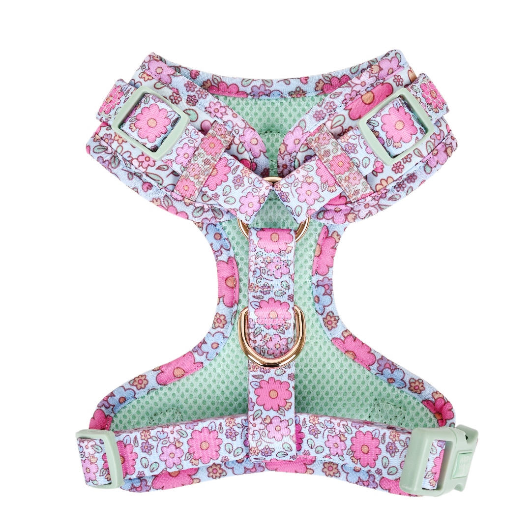 Dog Adjustable Harness | Misty Dream