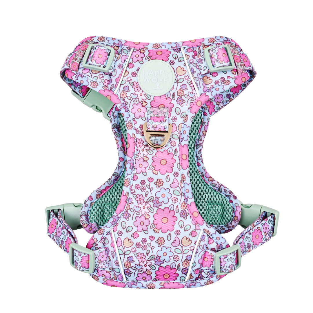 Dog Tough Harness | Misty Dream
