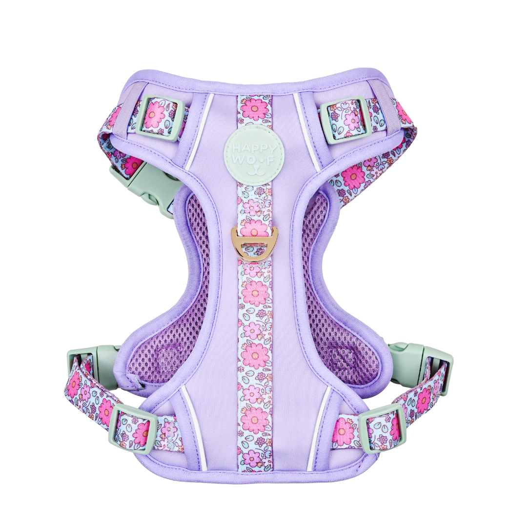 Dog Wander Harness | Misty Dream