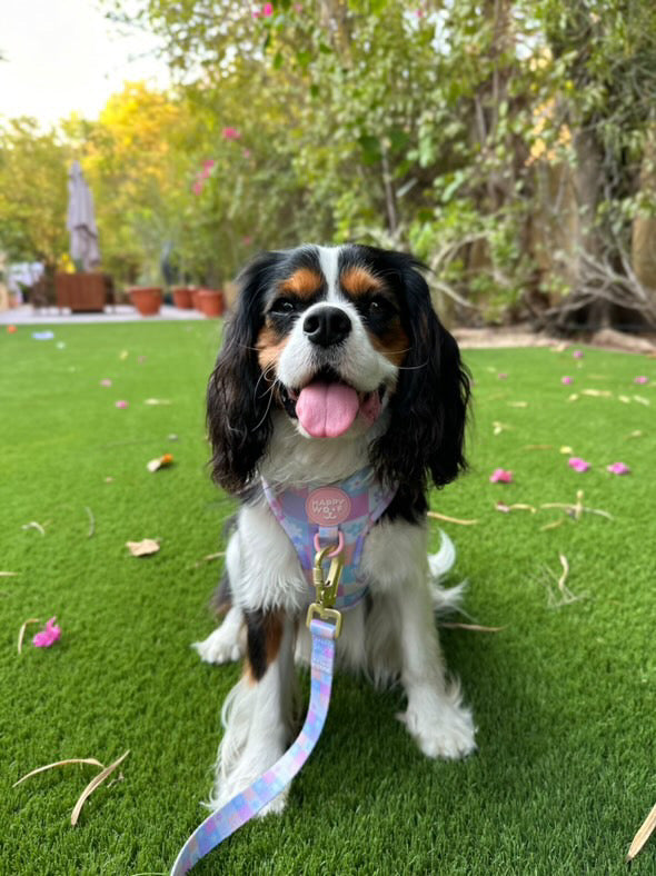 Dog Adjustable Harness | Flower Power