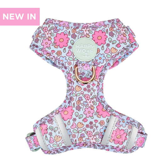 Dog Adjustable Harness | Misty Dream