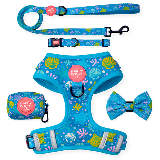 Bundle Set | Ocean Delight