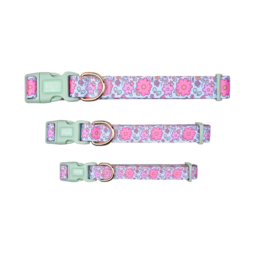 Collar | Misty Dream