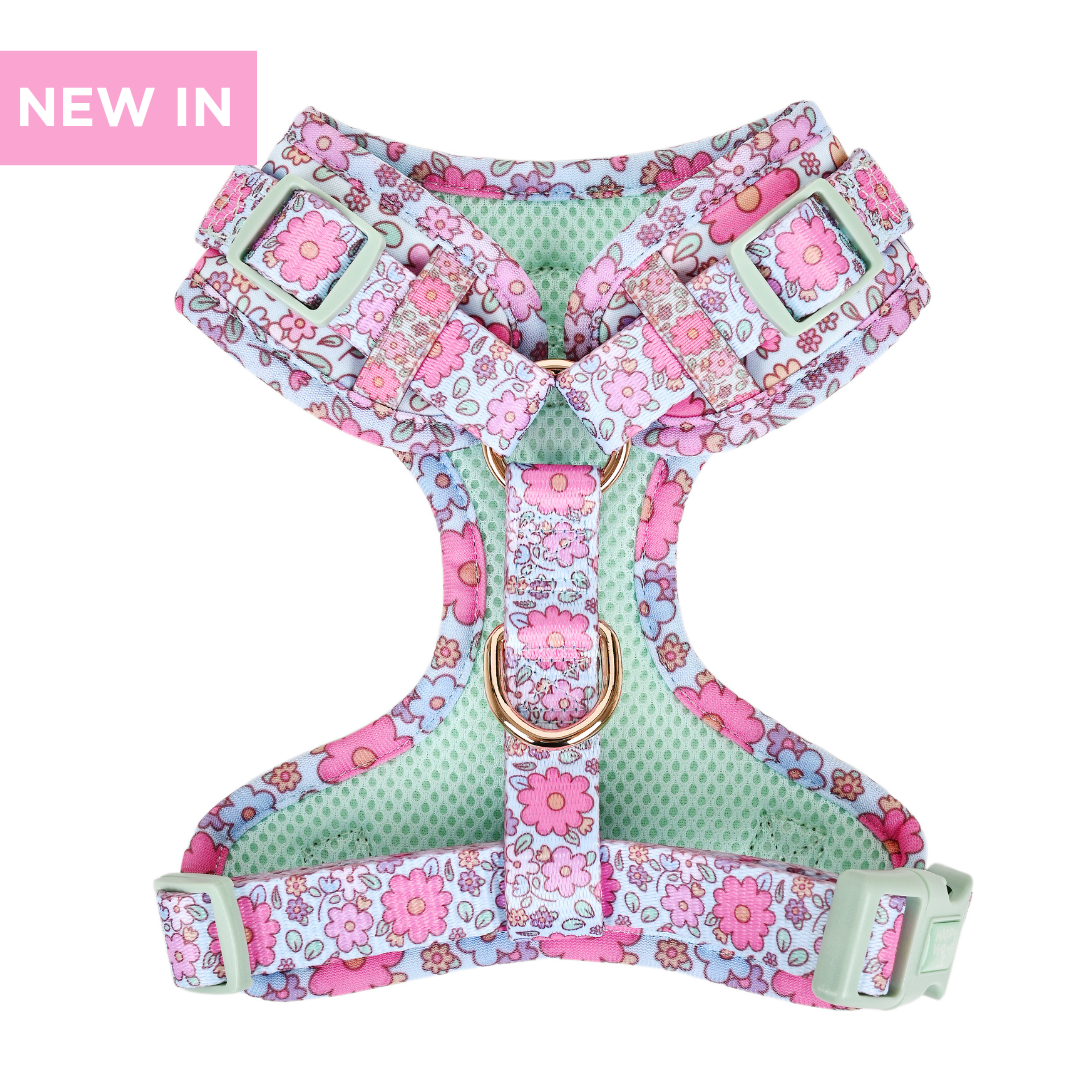 Dog Adjustable Harness | Misty Dream