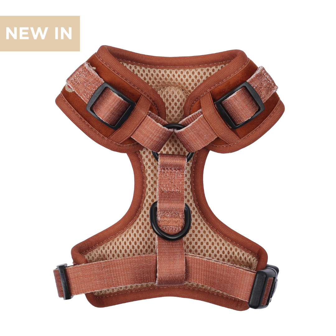 Dog Adjustable Harness | Oh Deer