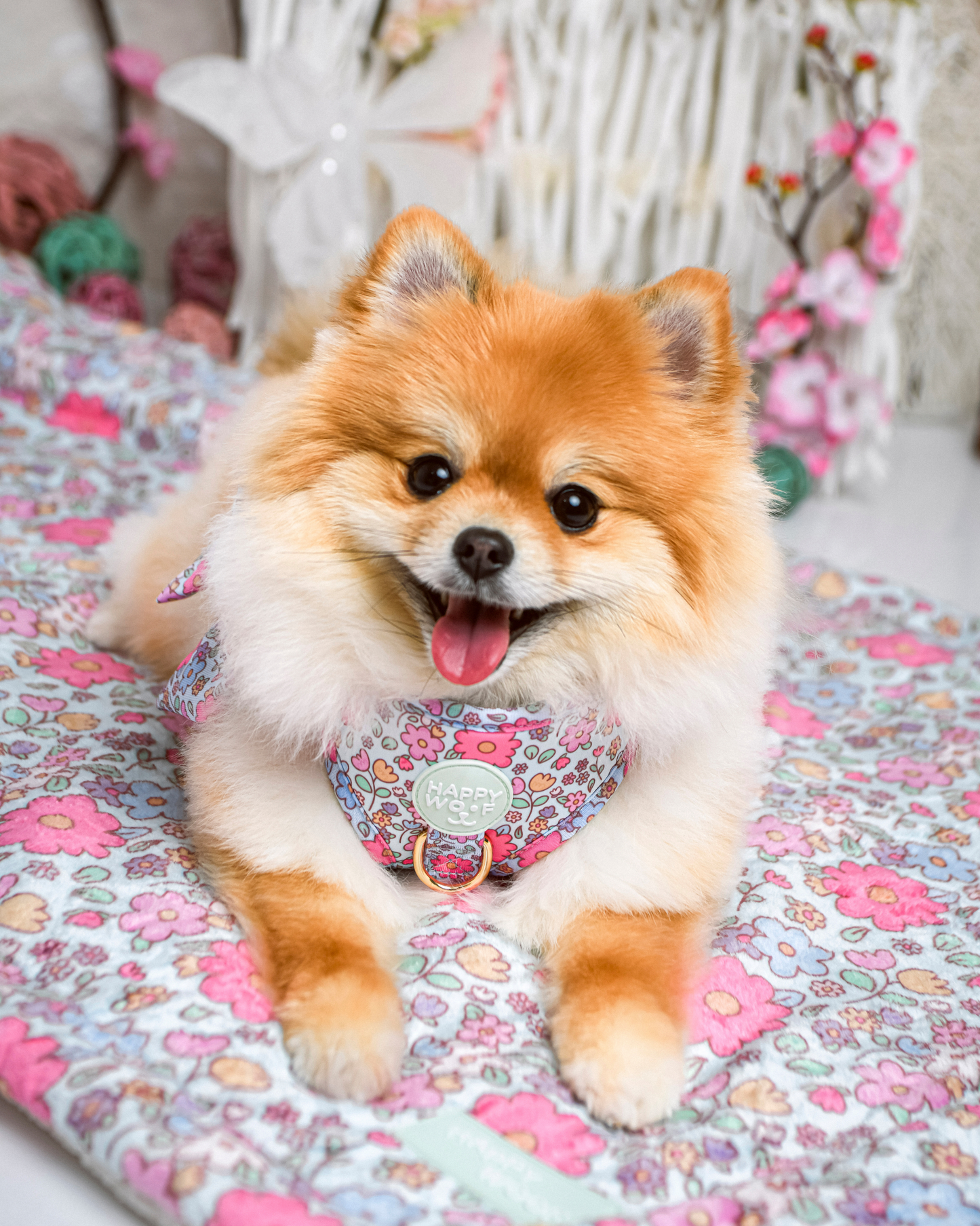 Dog Blanket | Misty Dream