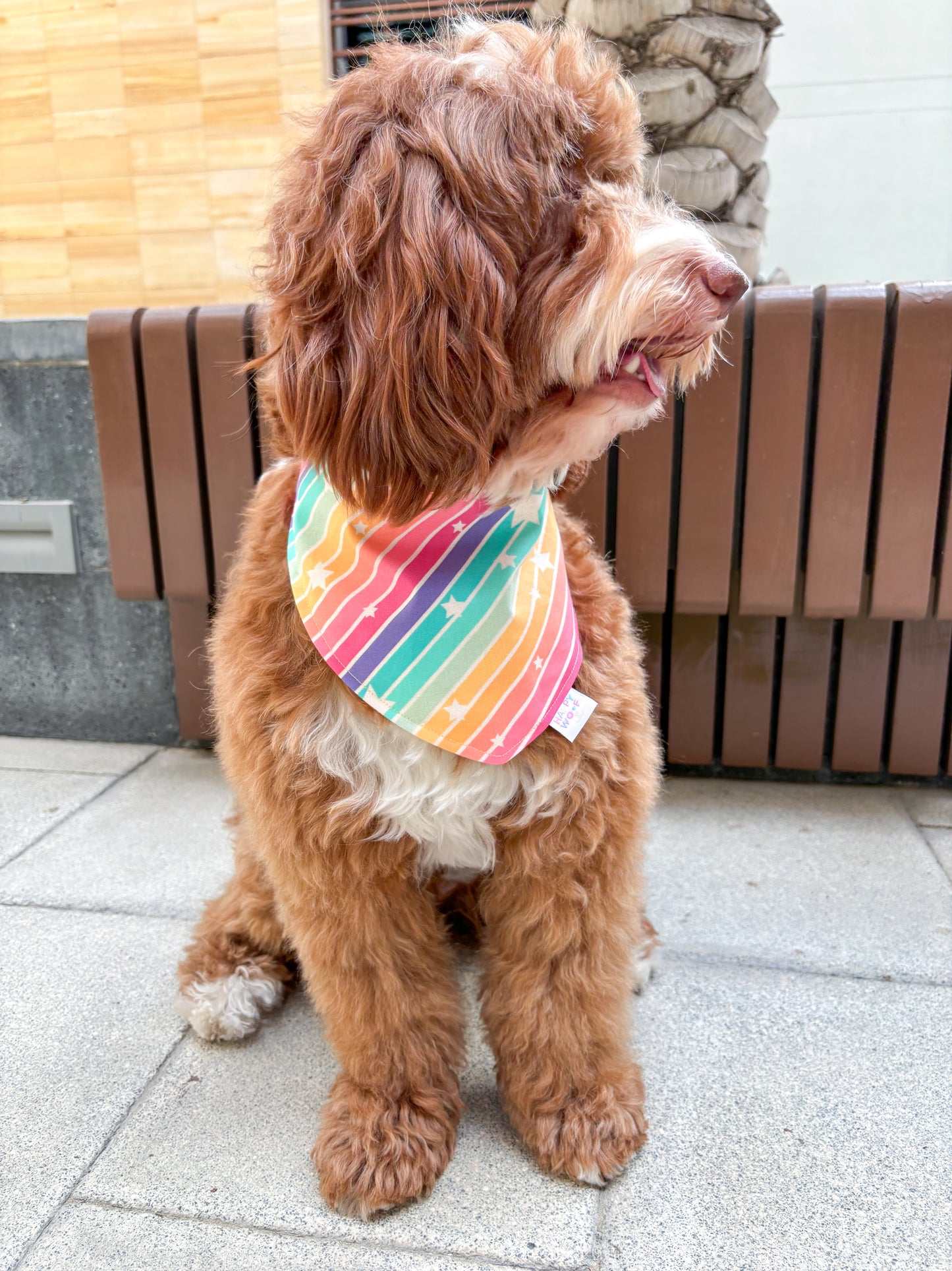 Dog Bandana | Estrella Arco