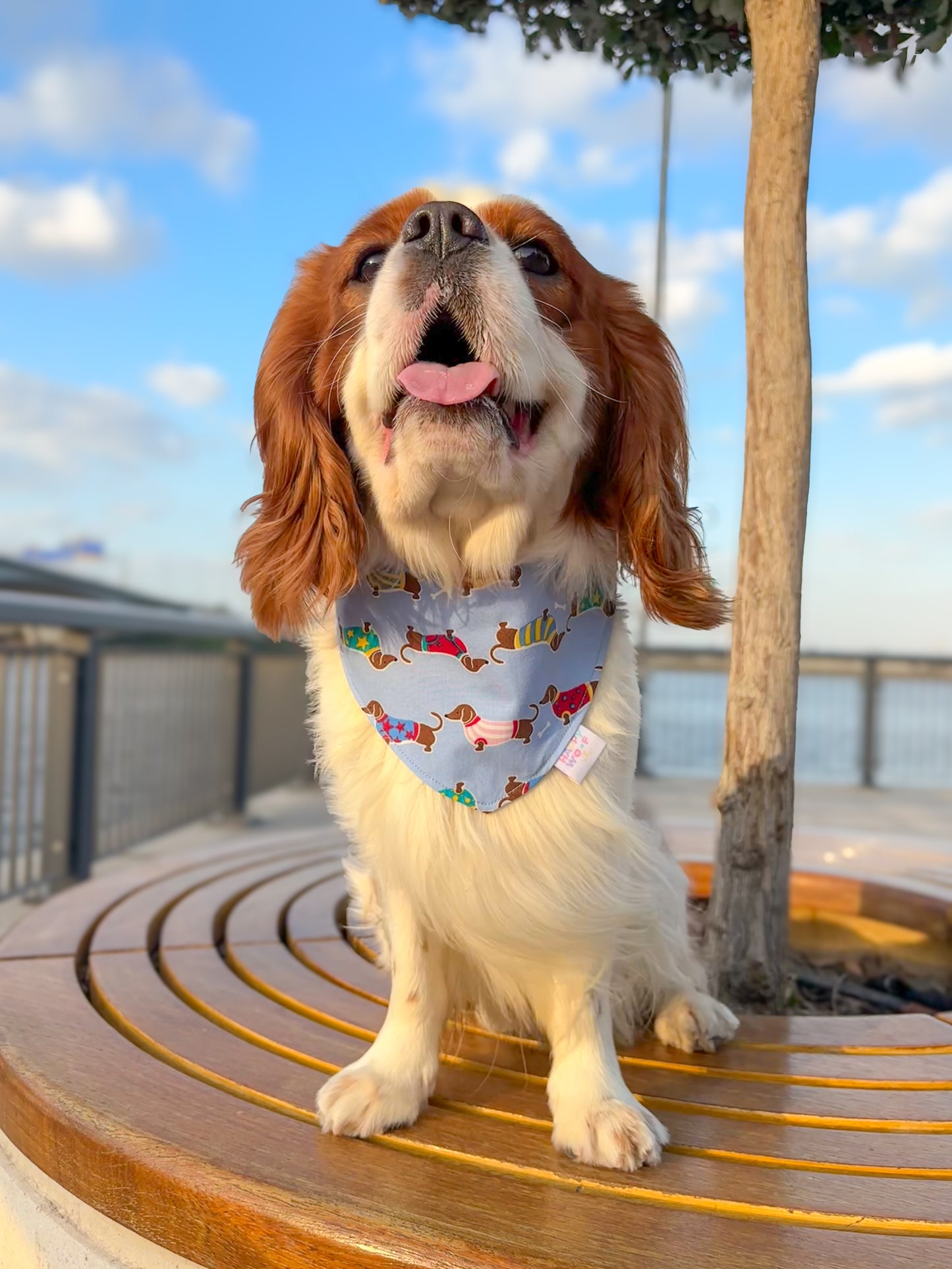 Dog Bandana | Tailwaggin'