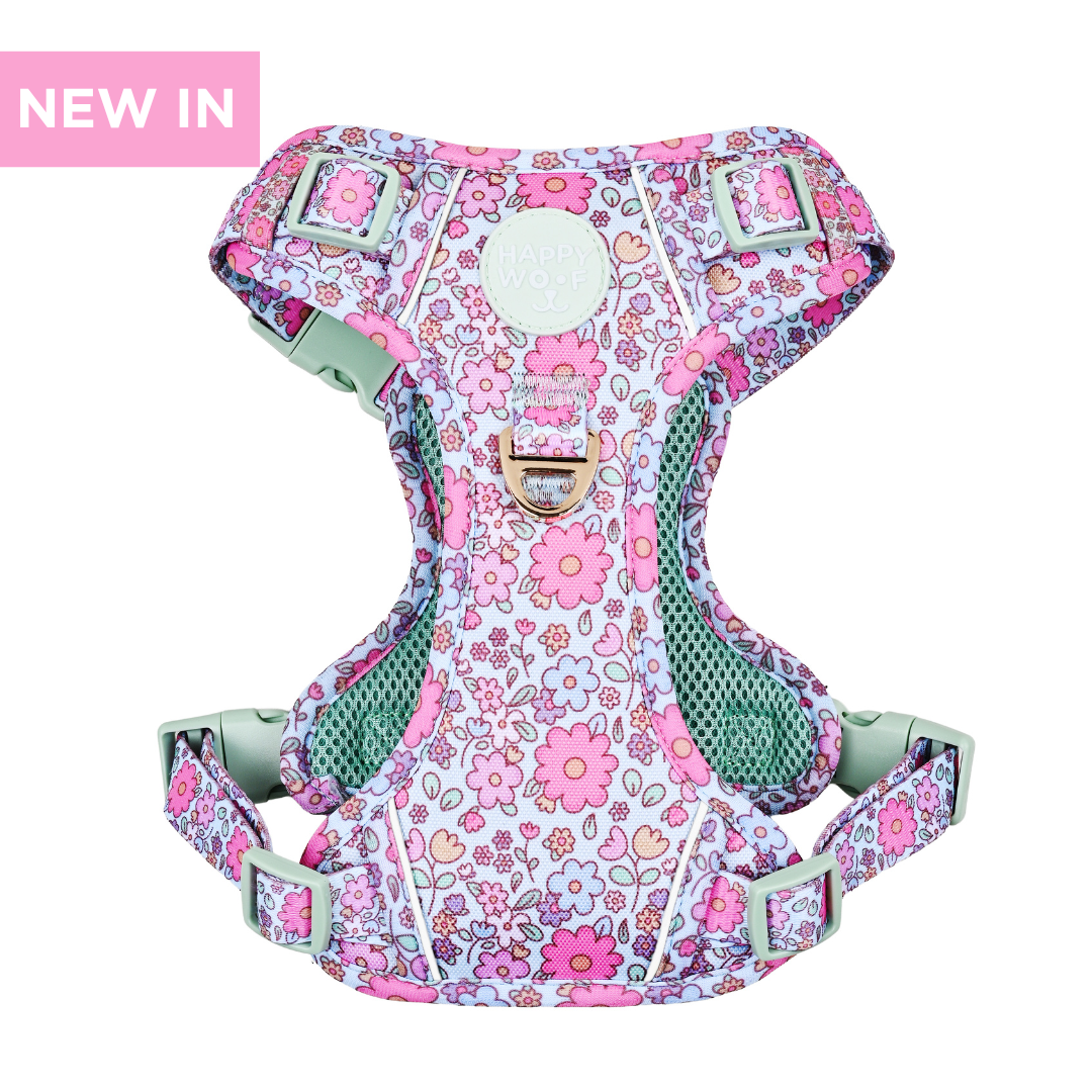 Dog Tough Harness | Misty Dream