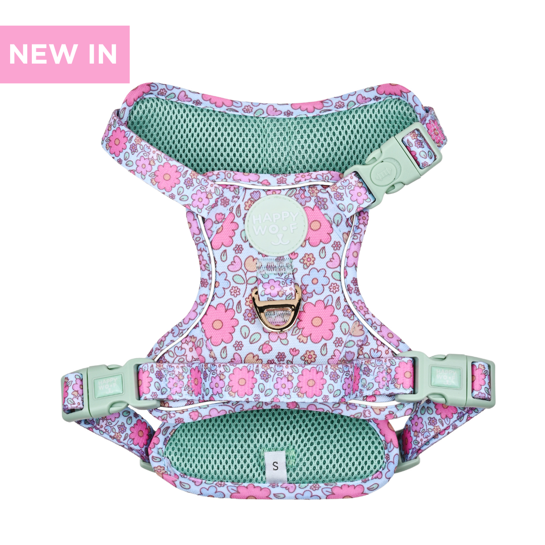 Dog Tough Harness | Misty Dream