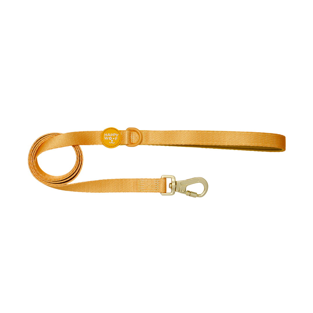 Leash | Butter Pup