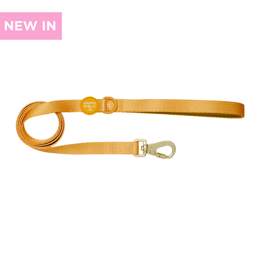 Leash | Butter Pup