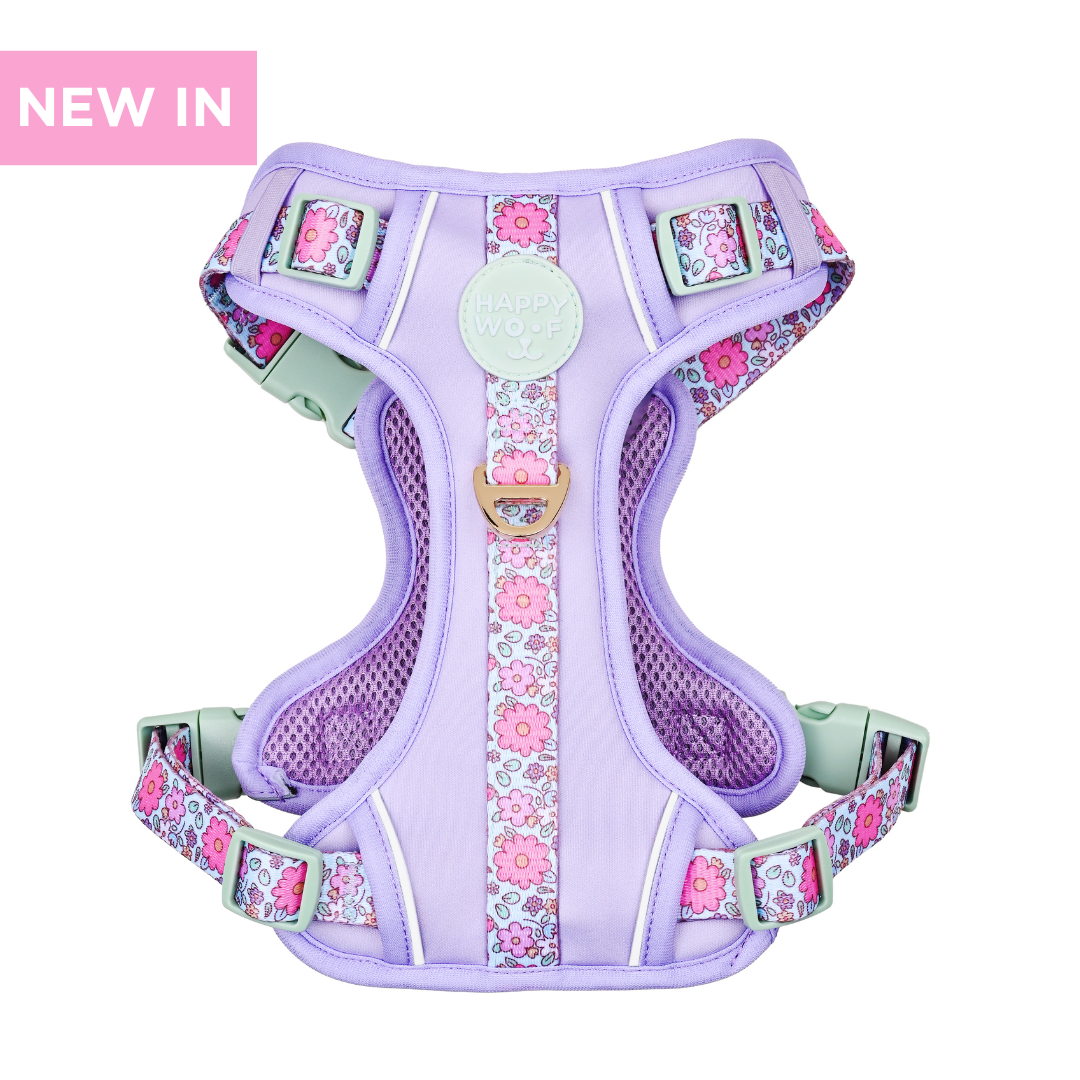 Dog Wander Harness | Misty Dream