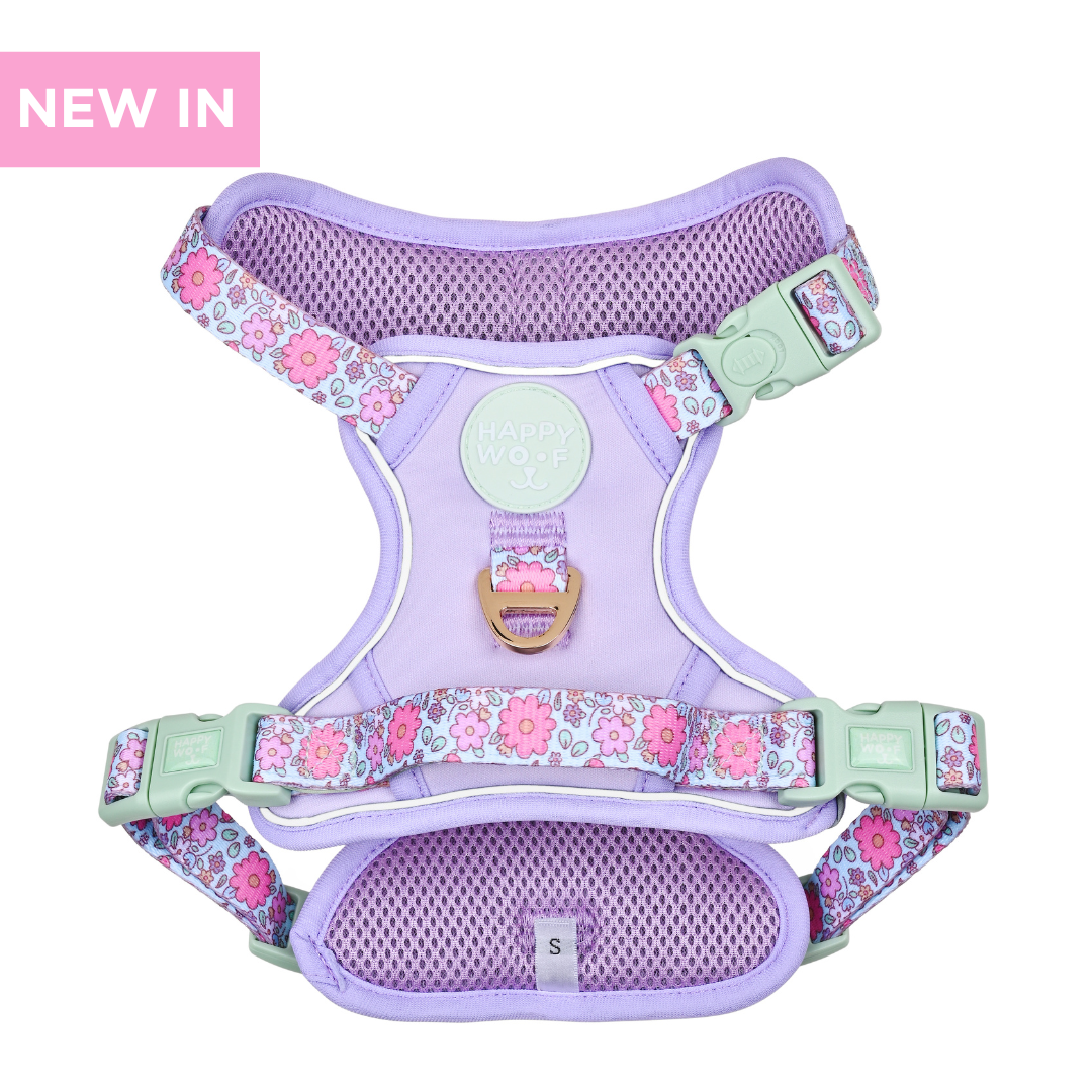 Dog Wander Harness | Misty Dream