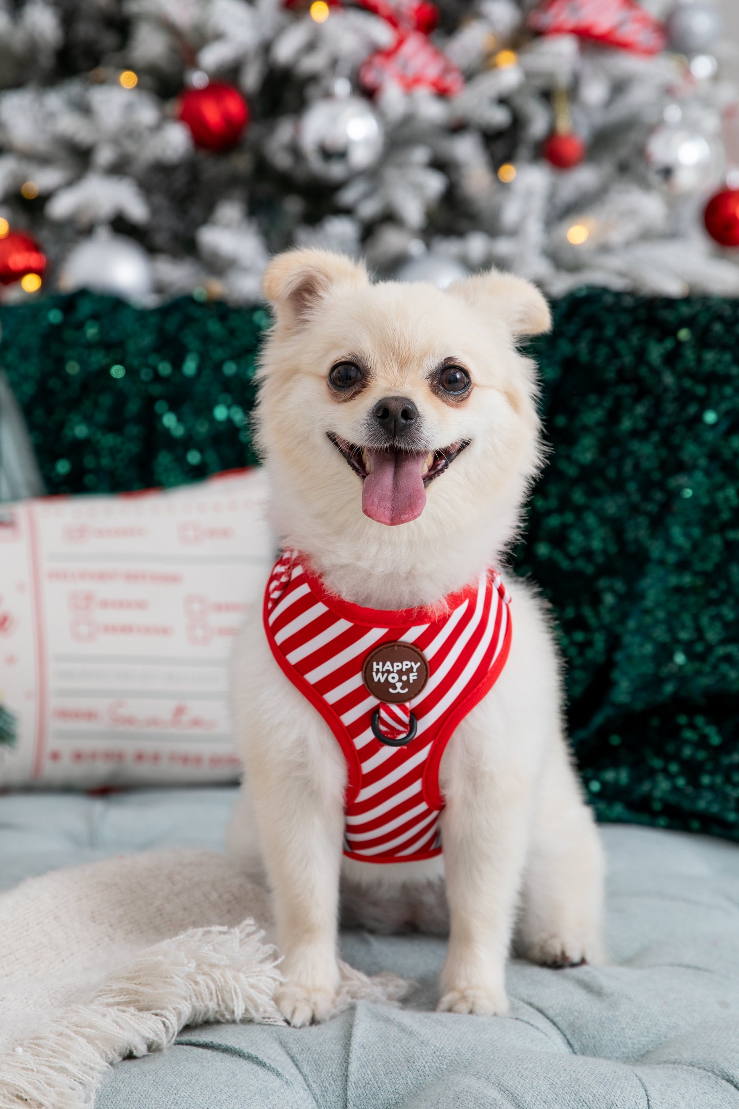 Dog Adjustable Harness | Scarlet Dream