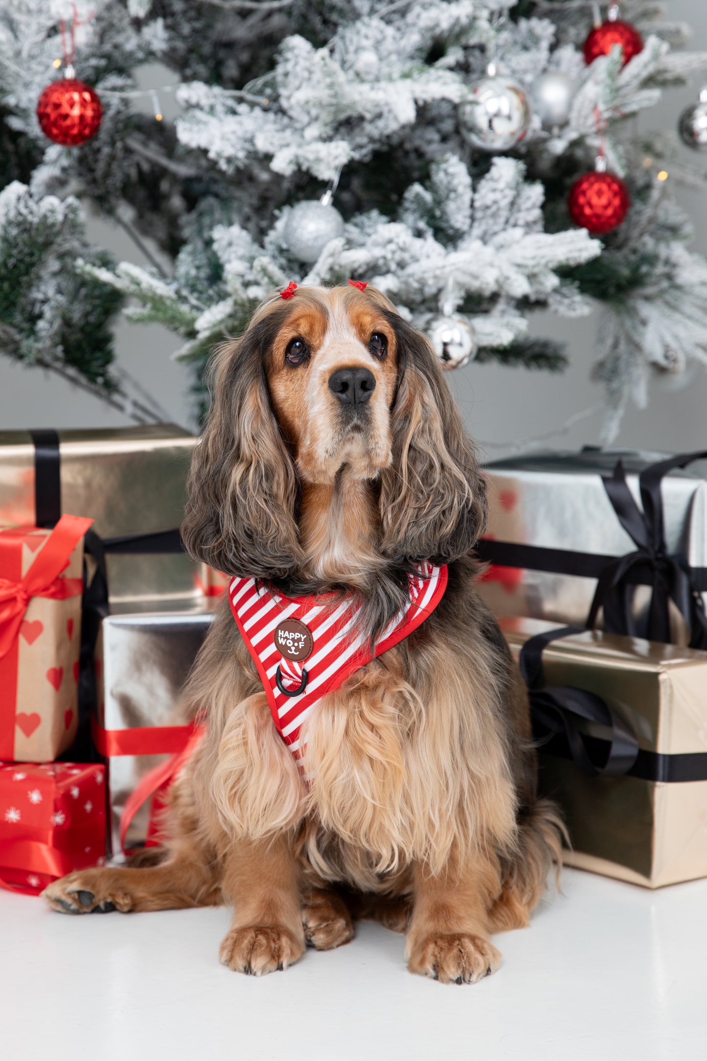 Dog Adjustable Harness | Scarlet Dream