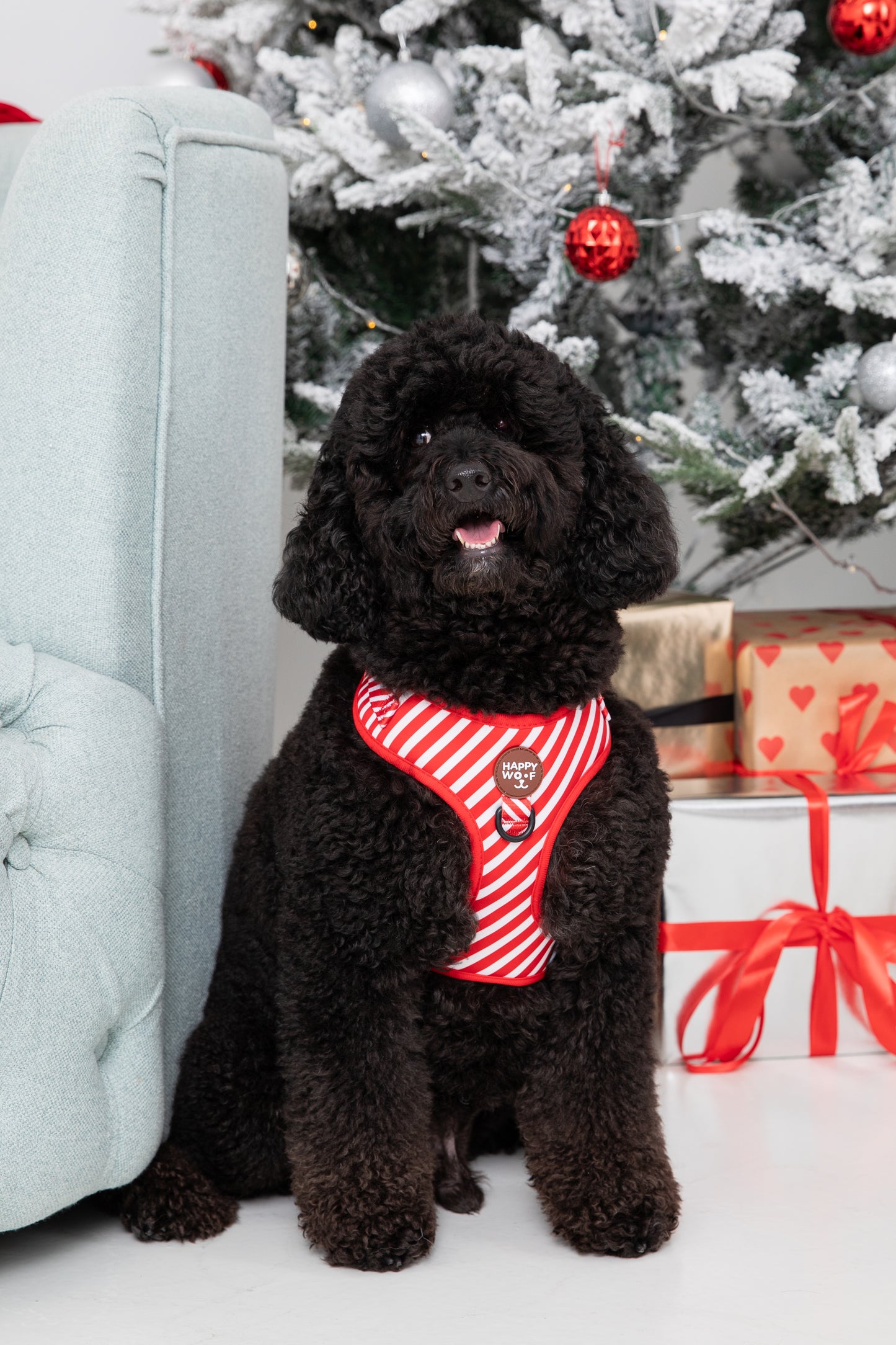 Dog Adjustable Harness | Scarlet Dream