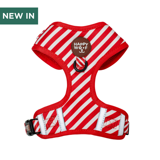 Dog Adjustable Harness | Candy Cane