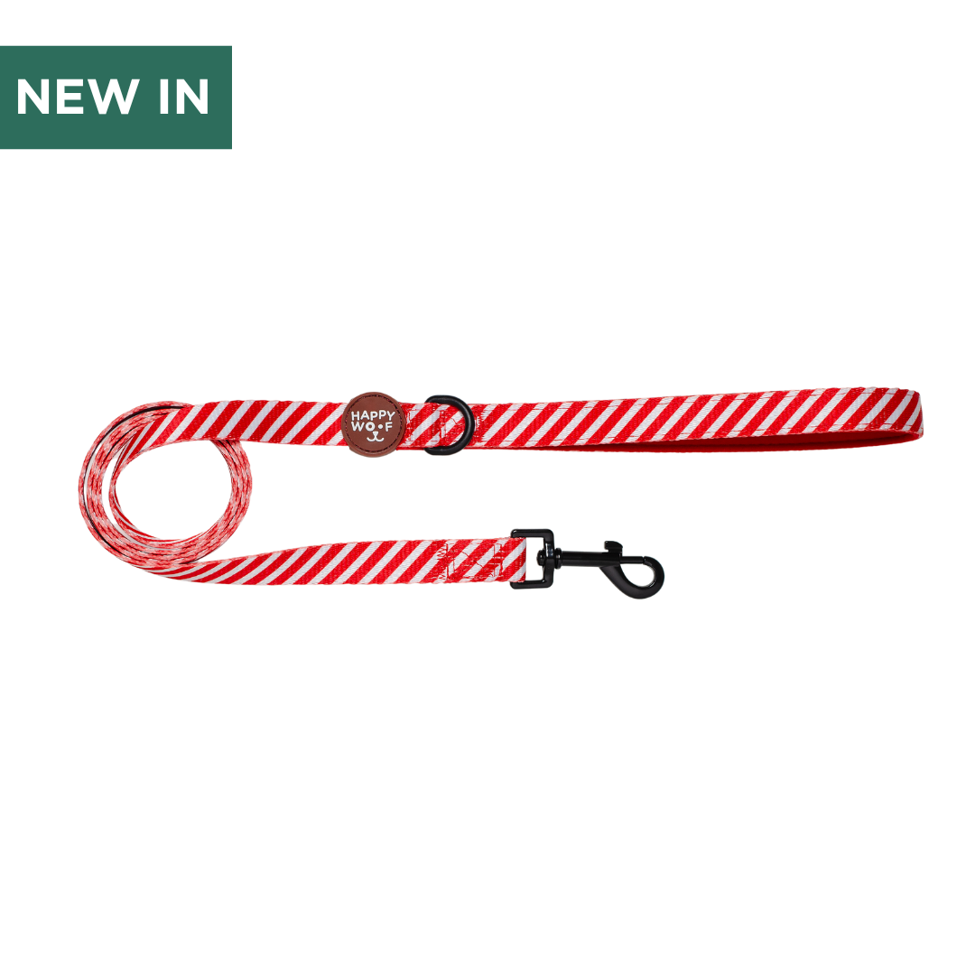 Leash | Candy Cane