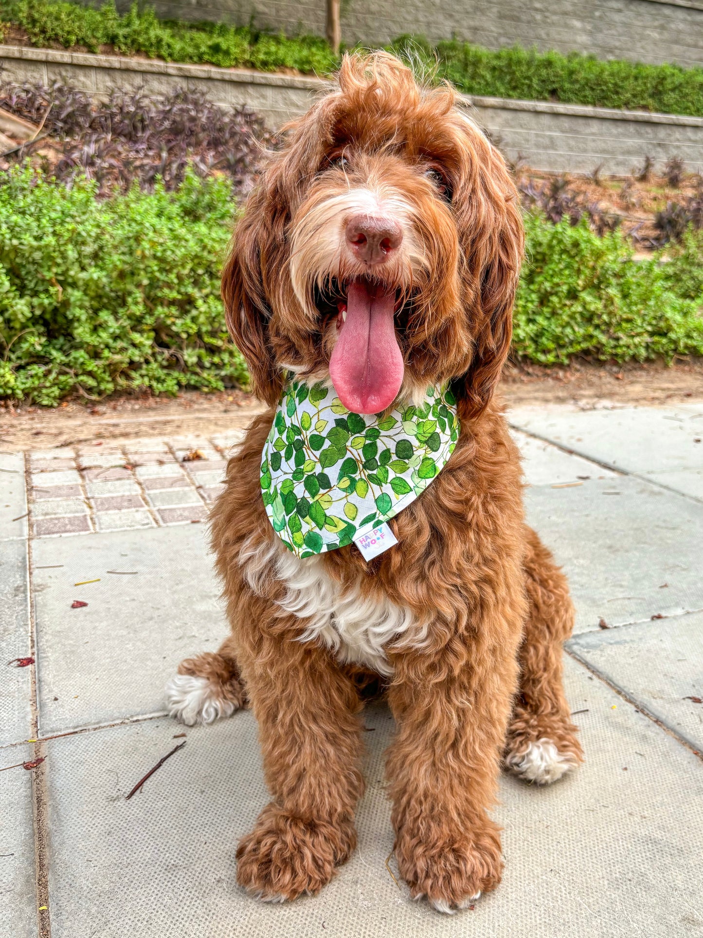 Dog Bandana | Hojas Verdes