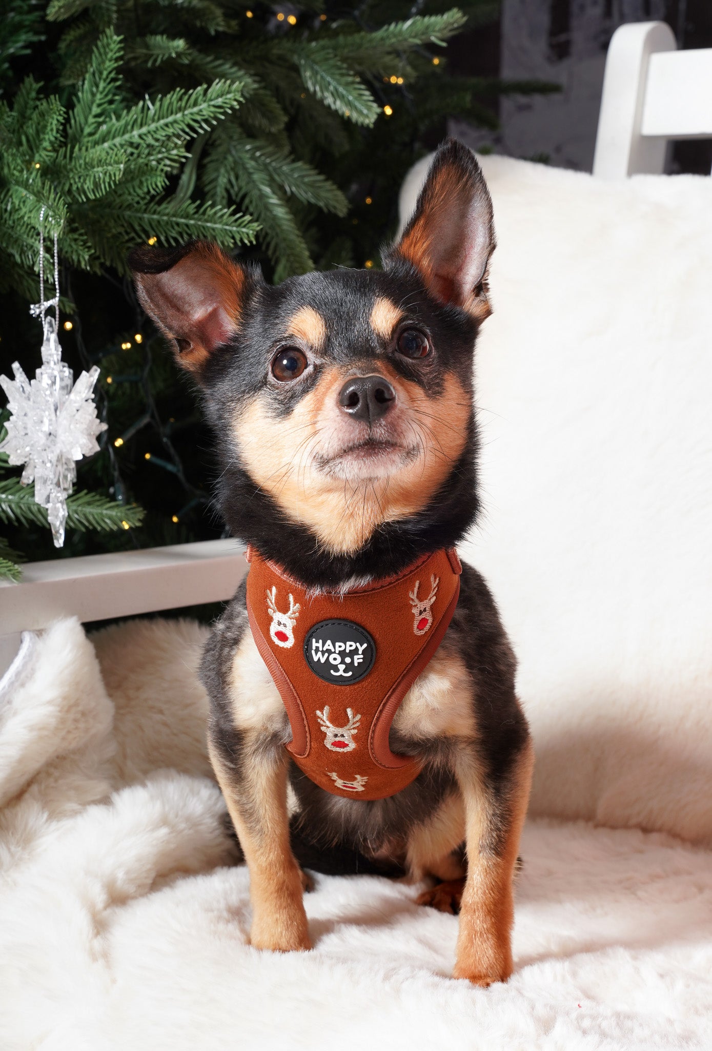 Dog Adjustable Harness | Oh Deer