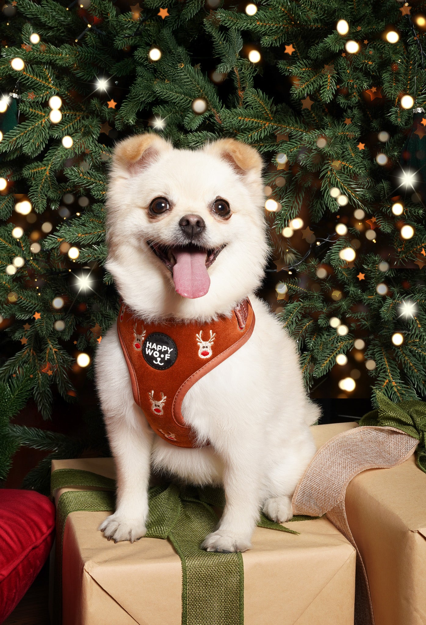 Dog Adjustable Harness | Oh Deer