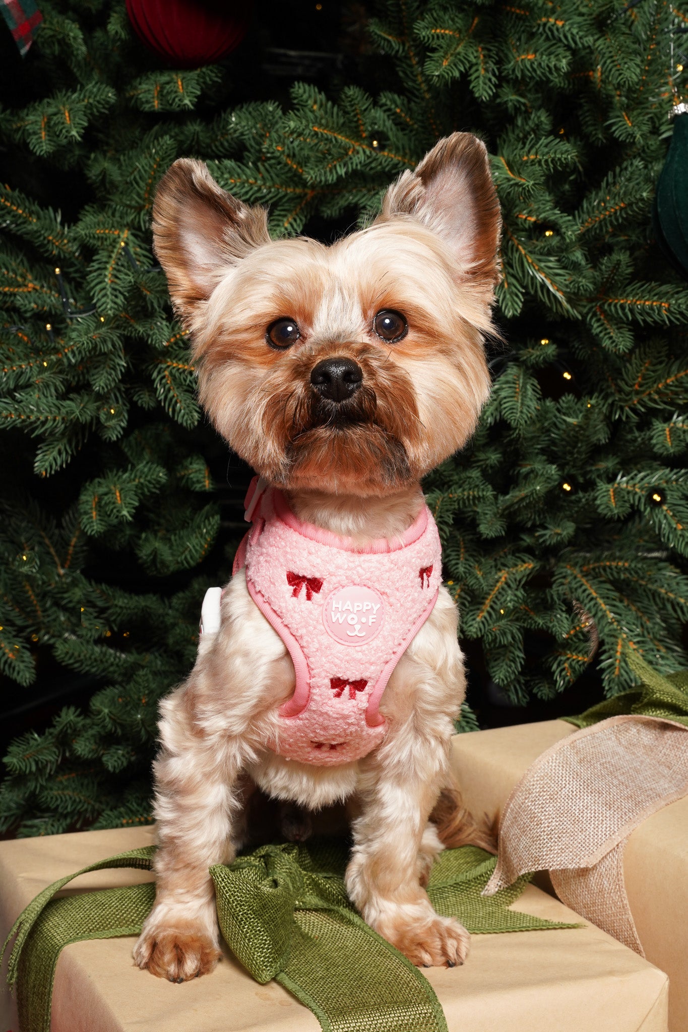 Dog Adjustable Harness | Jingle Bows