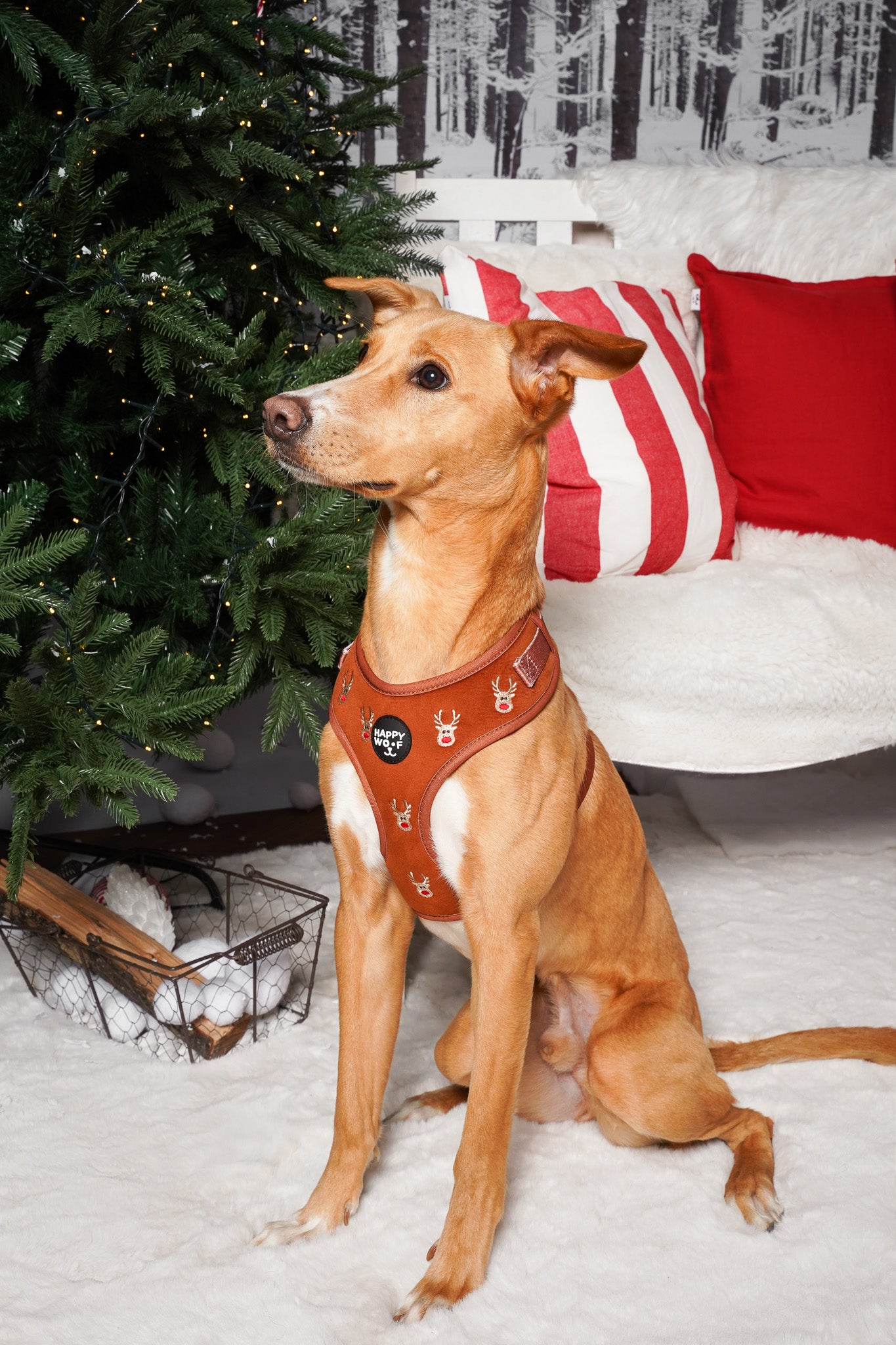 Dog Adjustable Harness | Oh Deer