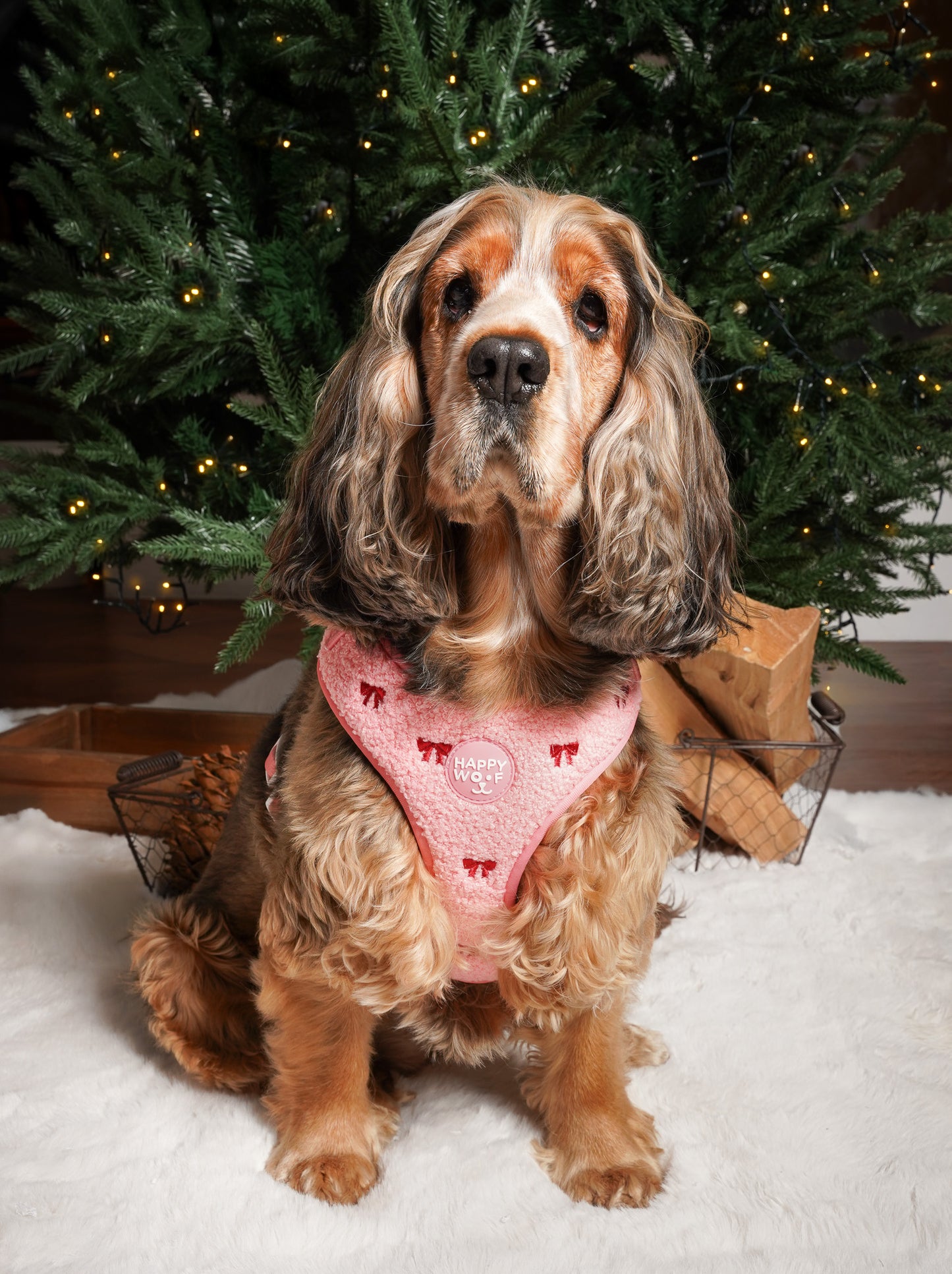 Dog Adjustable Harness | Jingle Bows