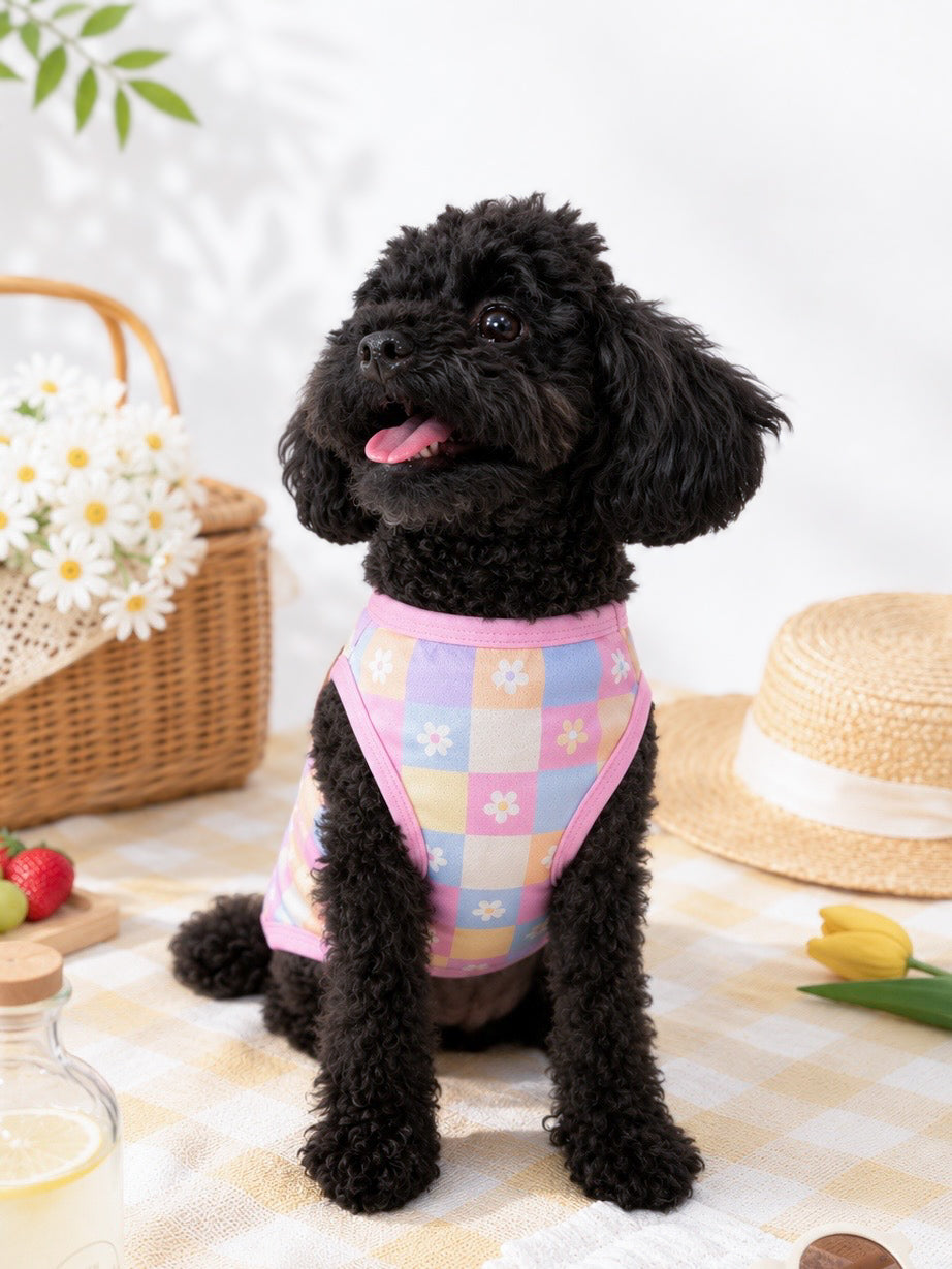 Black toy poodle wearing the Happy Woof Flower Power Cooling Vest with pastel checker pattern and instant cooling fabric.