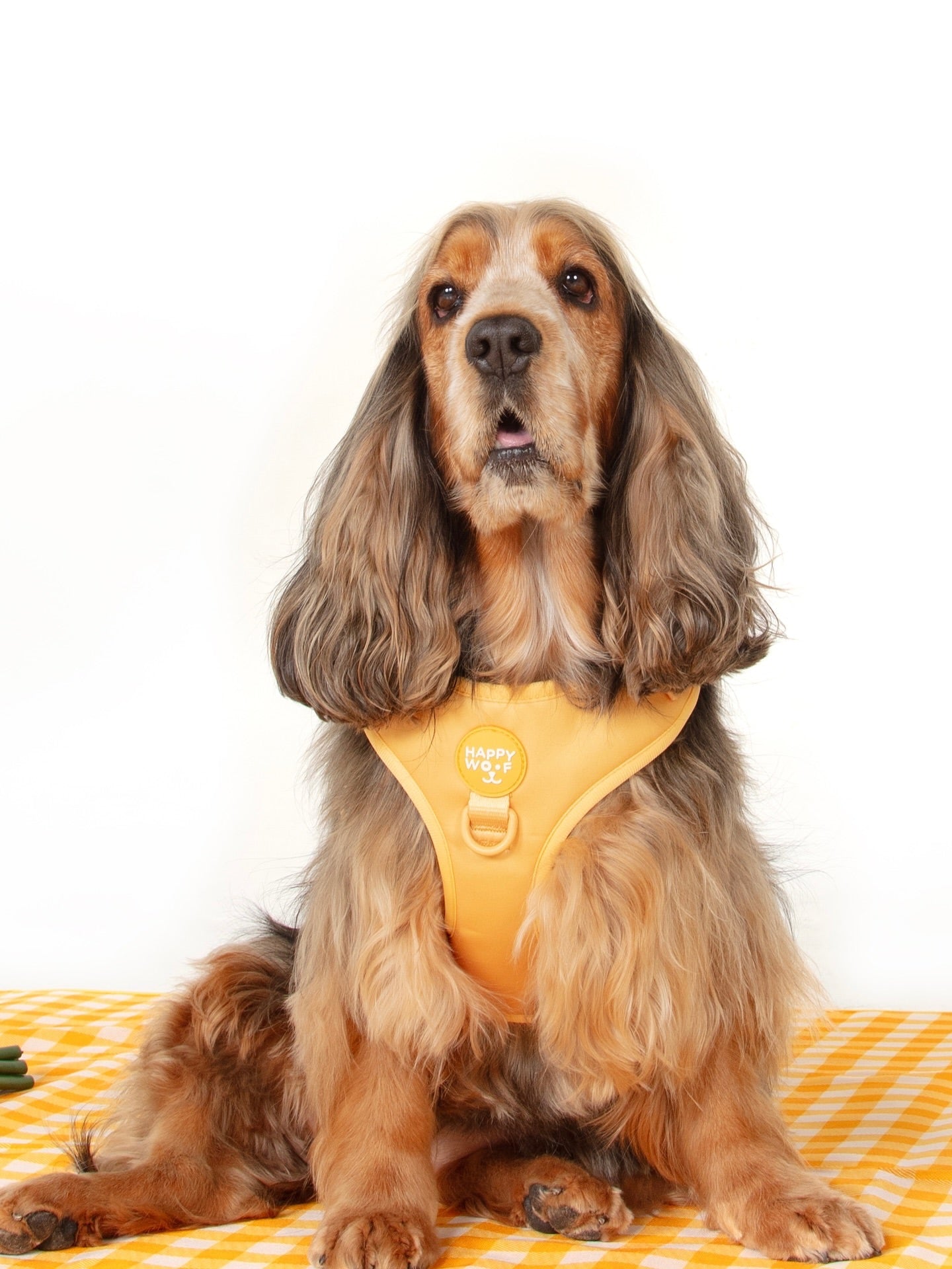 Dog Adjustable Harness | Butter Pup