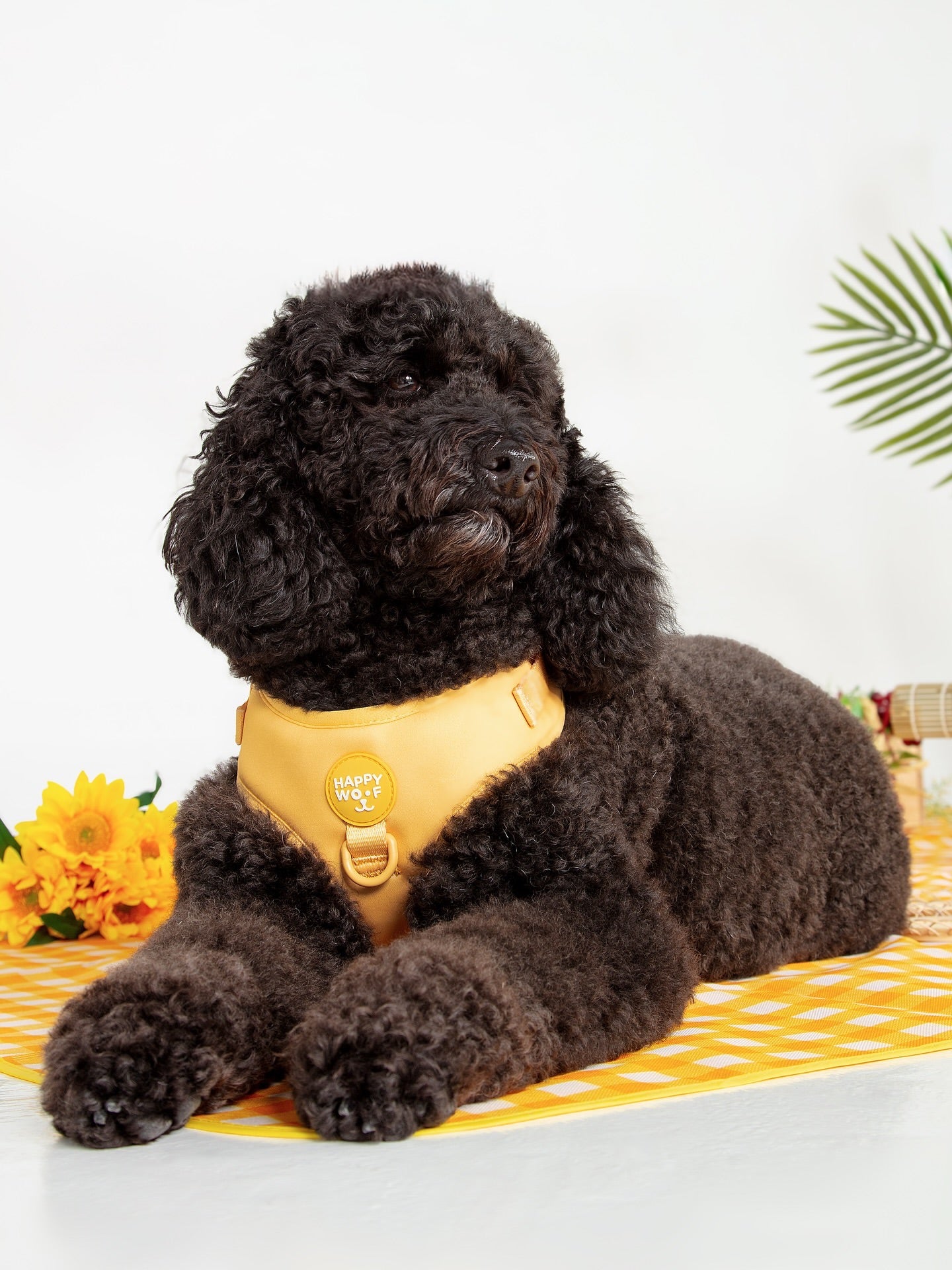 Dog Adjustable Harness | Butter Pup